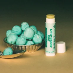 Hidratantes*Vacation After Dinner Mint SPF 30 Lip Balm Sunscreen