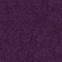 Sombras*Andi Espinoza - Exclusiva online Holografica en Crema Morado #005